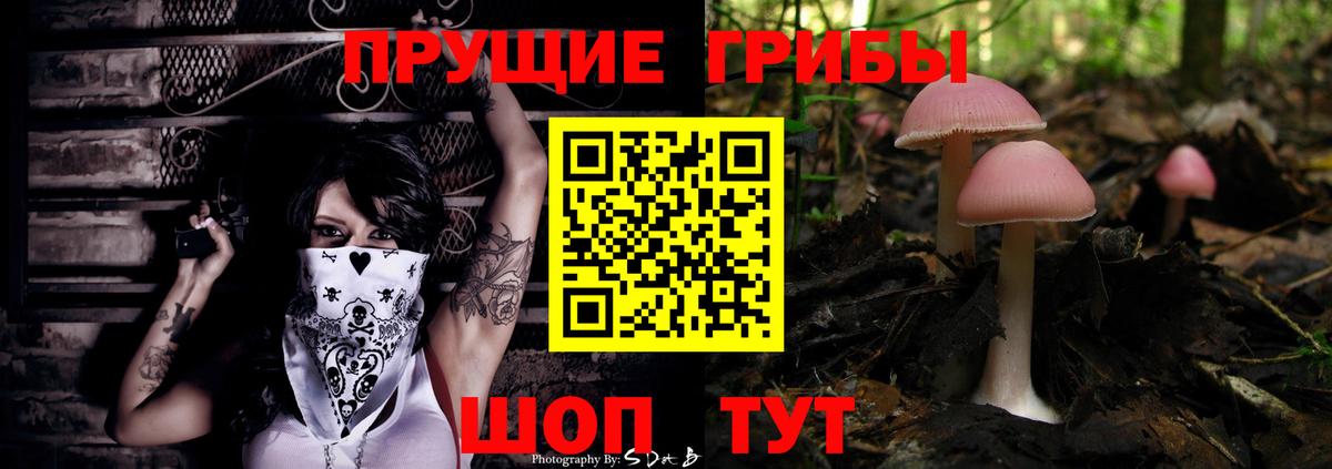 Псилоцибиновые грибы Psilocybine cubensis  Галлюциногенные грибы Magic Shrooms  Вход с VPN  Алейск 