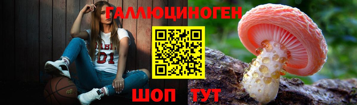 Псилоцибиновые грибы мухоморы Алейск